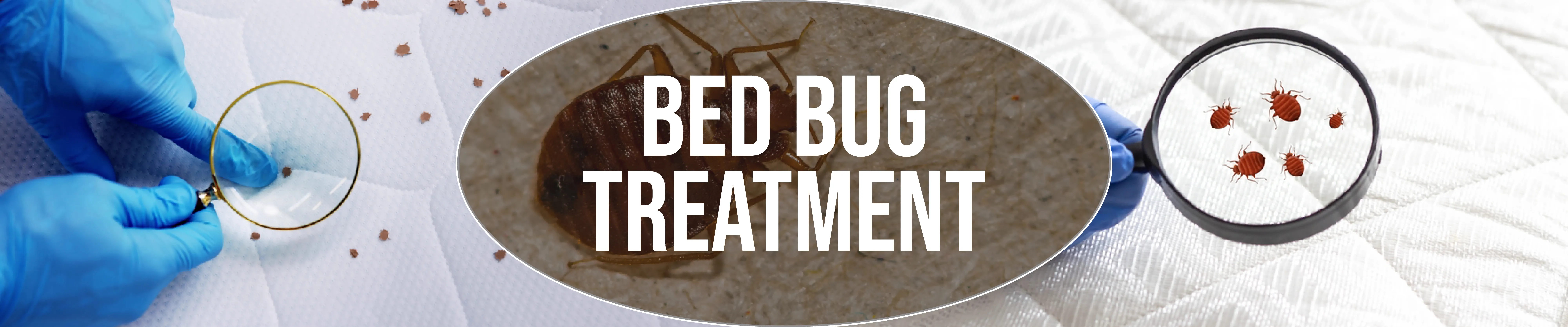 carpet cleaning in brooklyn, carpet cleaning in brooklyn, carpet cleaning brooklyn, carpet cleaners in brooklyn, carpet cleaners in brooklyn, commercial carpet cleaning, commercial carpet cleaning in brooklyn, brooklyn rug cleaners, rug cleaning services in brooklyn, same day carpet cleaning, same day rug cleaning