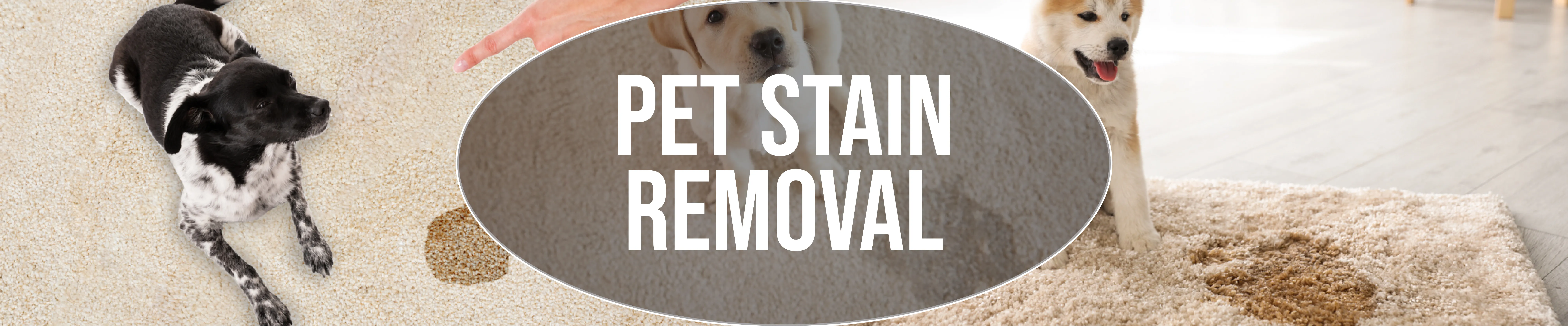 carpet cleaning in brooklyn, carpet cleaning in brooklyn, carpet cleaning brooklyn, carpet cleaners in brooklyn, carpet cleaners in brooklyn, commercial carpet cleaning, commercial carpet cleaning in brooklyn, brooklyn rug cleaners, rug cleaning services in brooklyn, same day carpet cleaning, same day rug cleaning