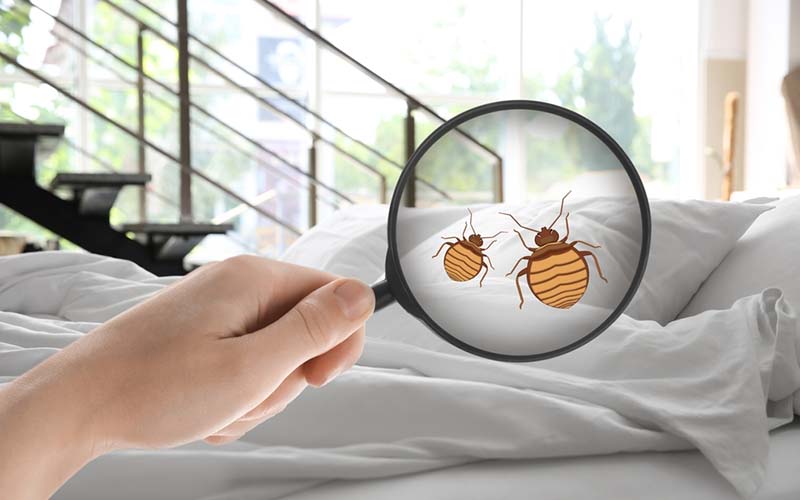 carpet cleaning in brooklyn, carpet cleaning in new york, carpet cleaning brooklyn, carpet cleaners in brooklyn, carpet cleaners in new york, commercial carpet cleaning, commercial carpet cleaning in brooklyn, brooklyn rug cleaners, rug cleaning services in brooklyn, same day carpet cleaning, same day rug cleaning